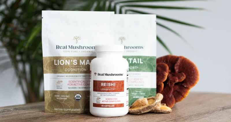 mushroom supplements sdmag
