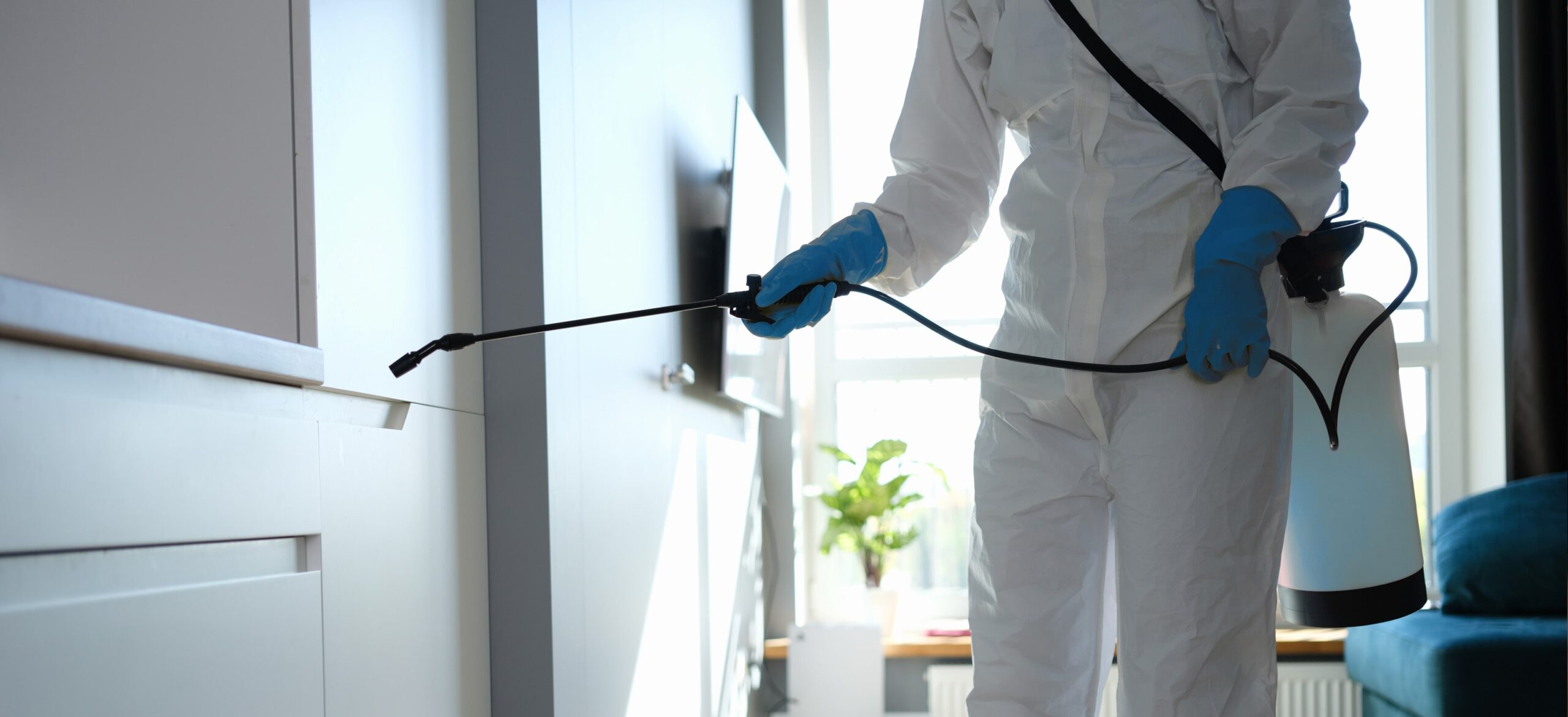 seo for pest control companies